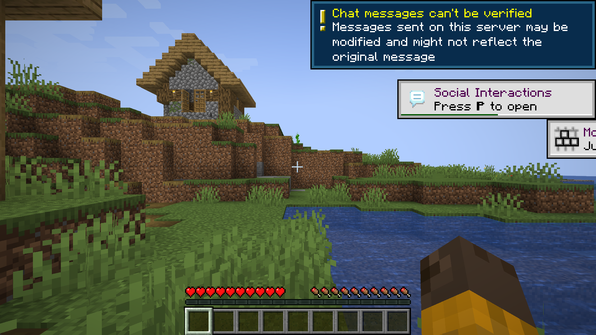 A screenshot of Minecraft on my server